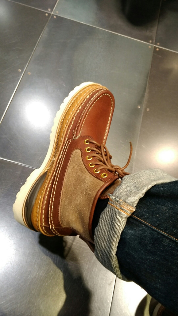 日本之行 收获满满-5.jpg