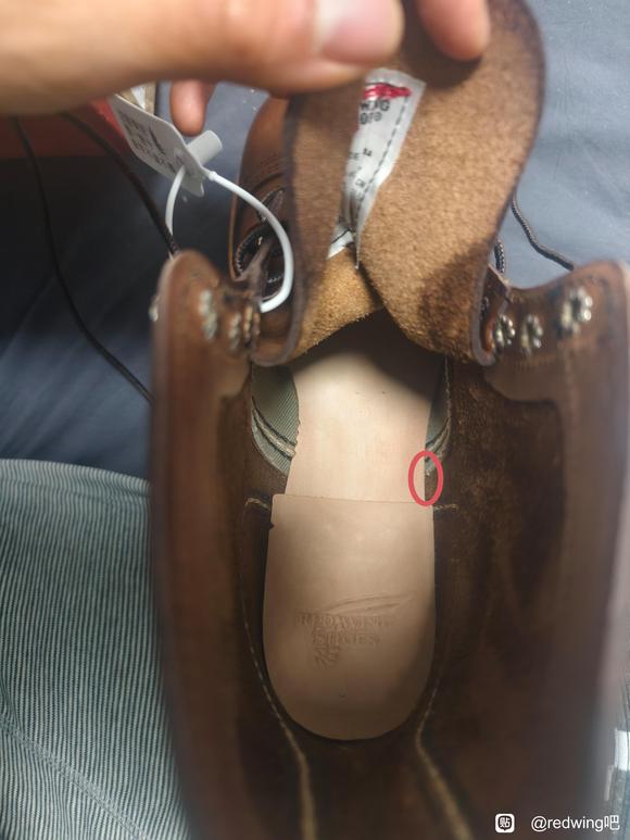 红翼8111 7.5ee-2.jpg