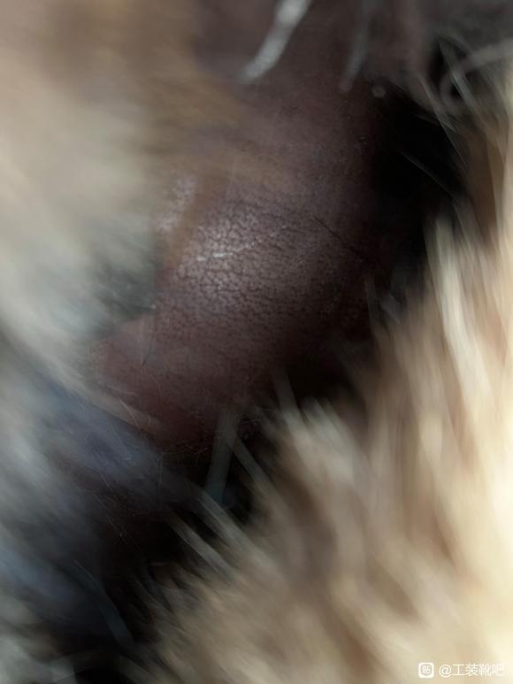 搞到双87舰艇靴 兄弟们看看怎么样啊-6.jpg