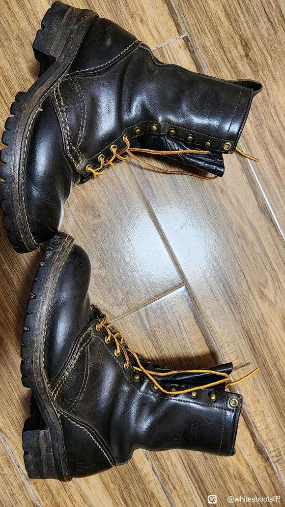 wesco 75周年老菱标-3.jpg