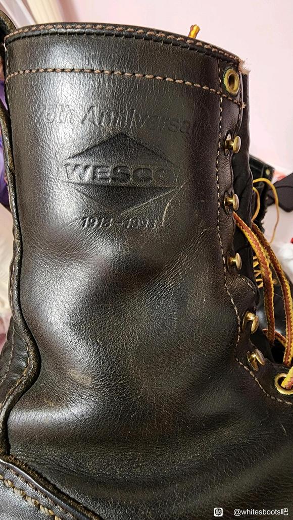wesco 75周年老菱标-7.jpg