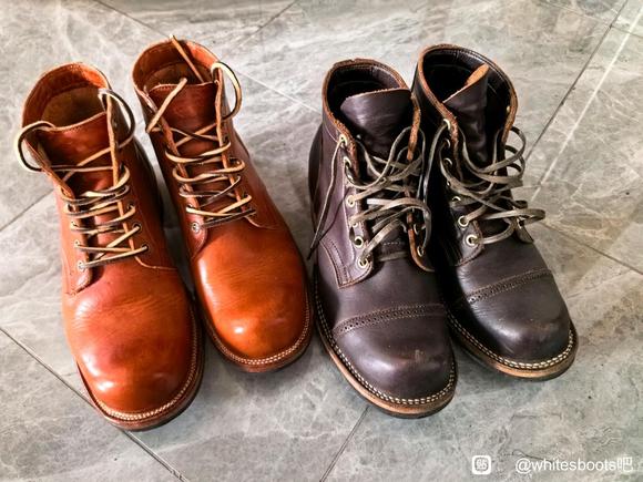 310 独树一帜-1.jpg