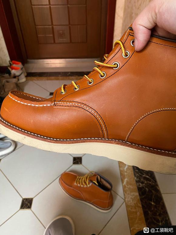 TT.鞋神.履诚.875怎么选？选哪家。-1.jpg