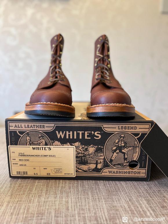 SJ 7寸终于到货-3.jpg