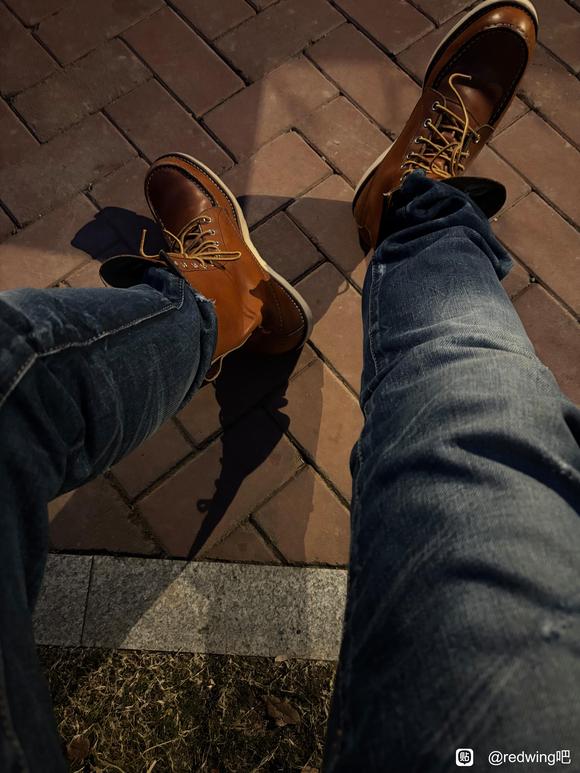 如果只能保留5双红翼 怎么选-2.jpg