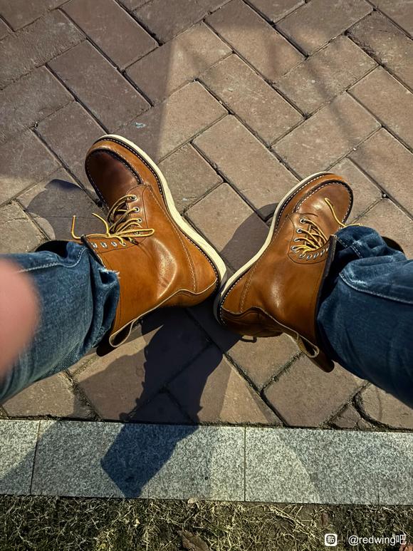 如果只能保留5双红翼 怎么选-1.jpg