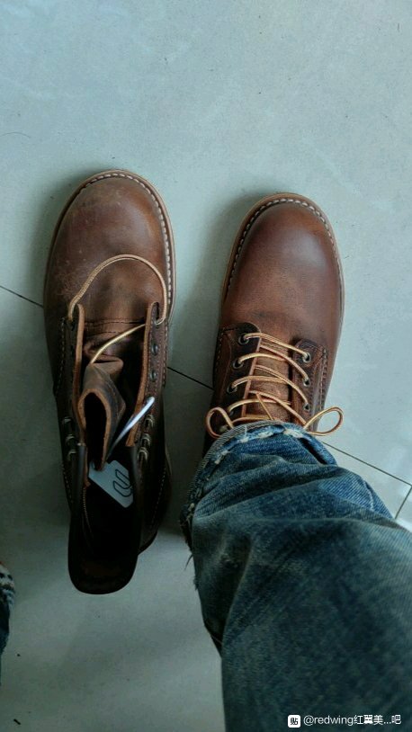RedWing2950，红翼的终点-7.jpg