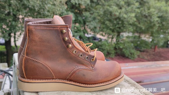 RedWing2950，红翼的终点-6.jpg